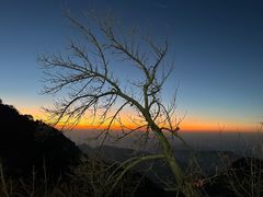 -泰山风景名胜区