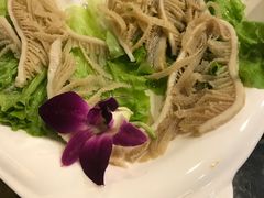 -杨家火锅(国美店)