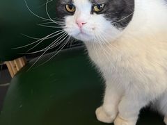 -猫小院猫主题餐厅(南锣旗舰店)