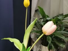 -魏公馆(昆太路店)
