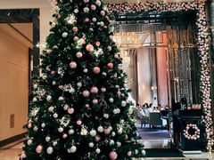 -东海朗廷酒店·廷廊 Palm Court
