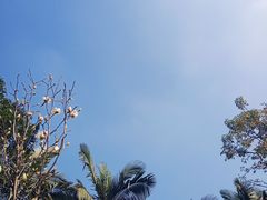 -云溪植物园