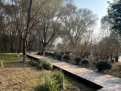 -长广溪湿地公园