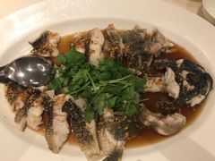 -无招牌海鲜餐厅(滨海艺术中心店)