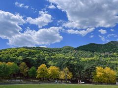 -北京西山国家森林公园