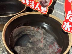 -印象鲵宴·张家界地标美食名片(溪布街店)