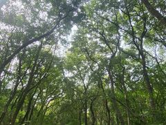-皇藏峪国家森林公园
