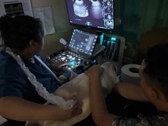 -康成宠物医院24H·CT·核磁共振