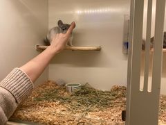 -龙猫仔乐园(惠福东路店)