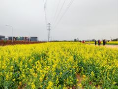 -长洲岛