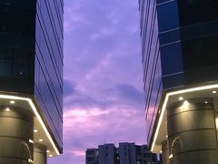 -香港九龙海逸君绰酒店