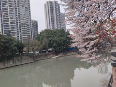 -红星桥(地铁站)