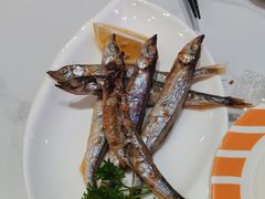 -新一番三文鱼寿司(大东海店)