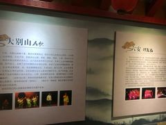 -皖西博物馆