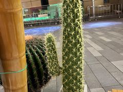 -北芒BEIMO COFFEE(五台山店)