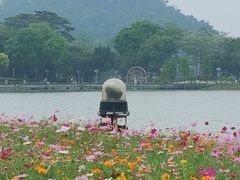 -顺峰山公园