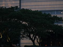 -三亚太阳湾柏悦酒店