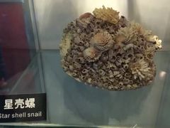 -泉城欧乐堡海洋极地世界