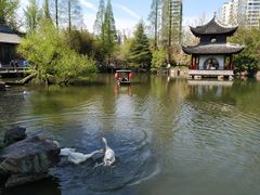 -水绘园