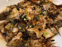 豉汁蒸罗非鱼腩-海宝酒家(中山四路店)