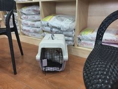 -千城康桥宠物医院CT影像·骨科·心脏专科中心(厚街分院)