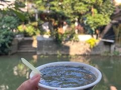 -小洲村