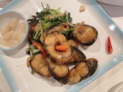 金不换煎焗白鳝-博多新记·粤菜(复兴店)