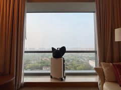 -上海浦东康桥绿地假日酒店
