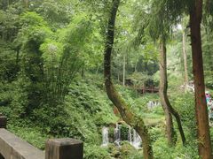 -青城山