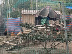 -杭州香格里拉·香宫中餐厅