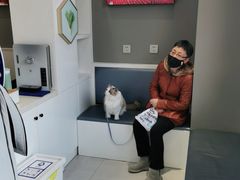 -关爱宠物医院·猫科中心·消化科(滨湖万达分院)