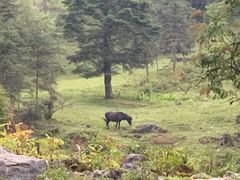 -硗碛藏寨·神木垒景区