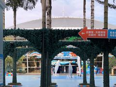 -海合安成都极地海洋公园
