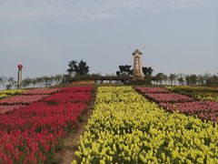 -川南大草原