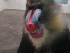 -西安秦岭野生动物园