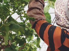 -美家乐农庄·露营·团建(大治路店)