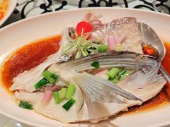 清蒸水库鱼腩-唐苑酒家·岭南粤菜名店(太古仓店)