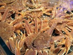 -鸽子侯·家宴·平价海鲜(绿地店)