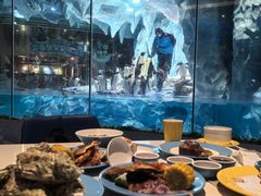 -帝企鹅自助餐厅•儿童岛•真企鹅(长隆企鹅酒店)