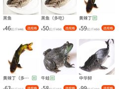 -都江堰石锅鱼