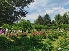 -承德避暑山庄景区