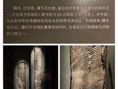 -大同市博物馆
