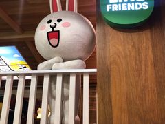 -line friends(明洞旗舰店)