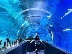 -成都浩海立方海洋公园