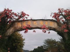 -天适樱花悠乐园