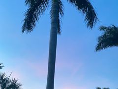 -胡里山炮台
