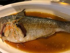 鲋鱼之思鲜鲥鱼-民国红公馆·秦淮八艳(夫子庙店)