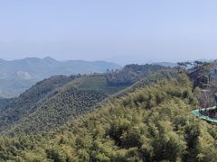 -莫干山风景区