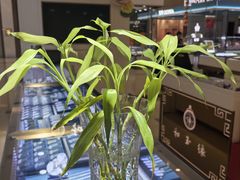 -世纪金源购物中心(远大路店)