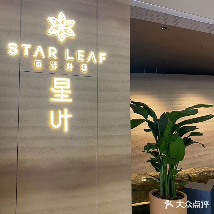 不愧是由米其林一星厨政团队监制的星叶南洋料理店